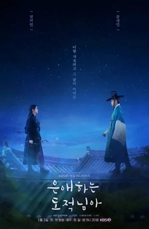 Дорама Мой любимый вор онлайн